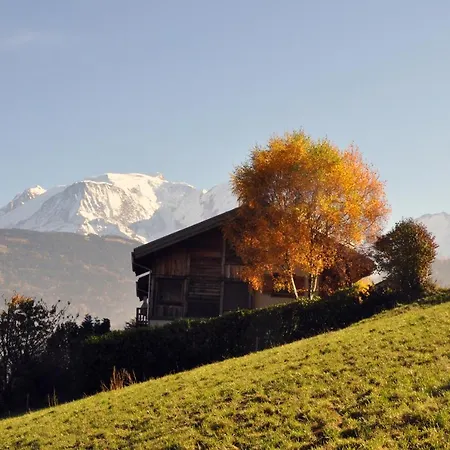 샬레 Chalet Du Mont-blanc Domancy