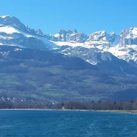 샬레 Chalet Du Mont-blanc Domancy